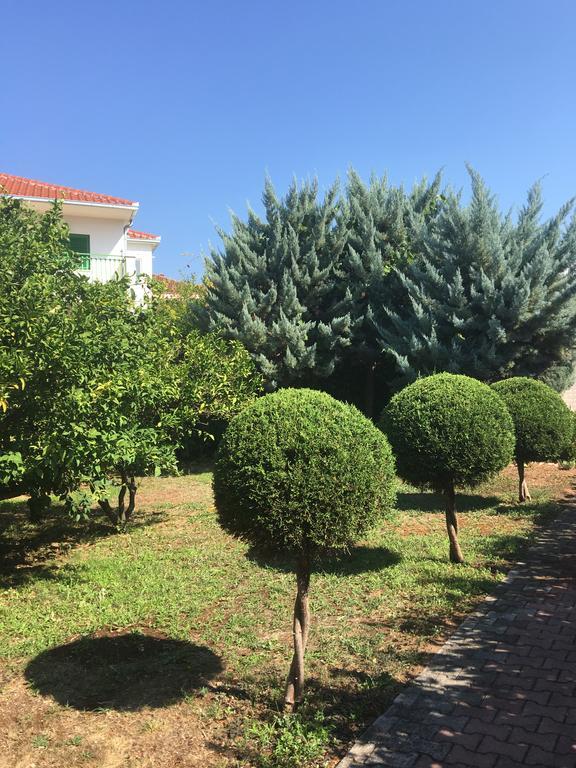 D.O.O. Yury Apartment Τρογκίρ Εξωτερικό φωτογραφία